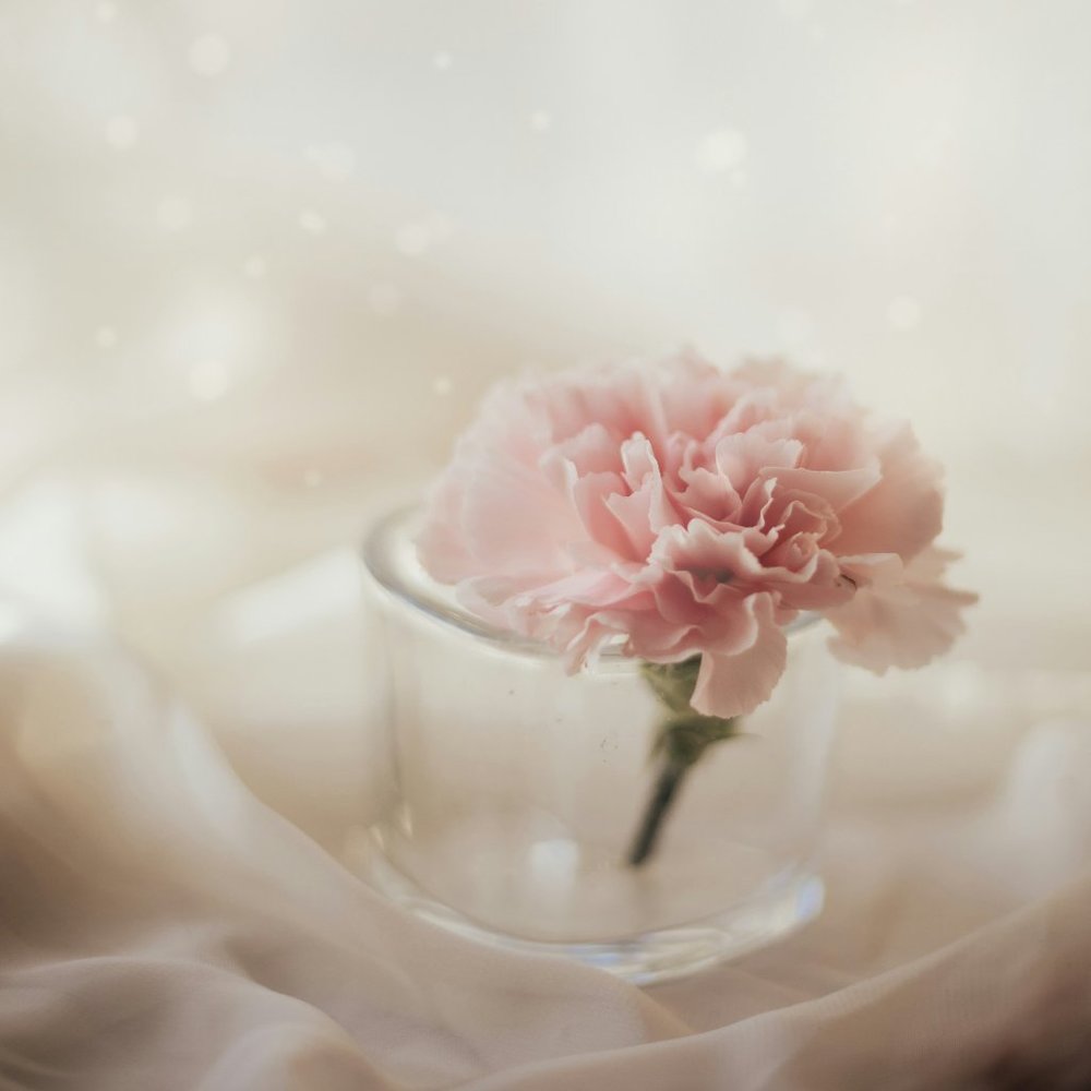 Meet your Posher, Naomi